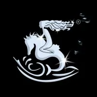 Nereids Aquatic Coaching Nereids Aquatic Coaching