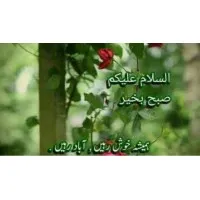 FABEXP AMERICAS Sustainable Green Textile chemicals & Denim