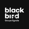 Blackbird Agency Blackbird Agency