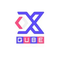 XQUBE GLOBAL TAX & ACCOUNTING INC
