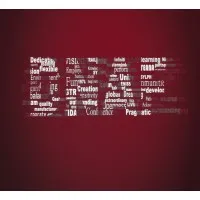 Dongfeng Nissan Auto Finance Co., Ltd.