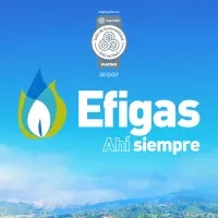 EFIGAS