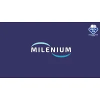 BLANCOS MILENIUM SA DE CV BLANCOS MILENIUM SA DE CV