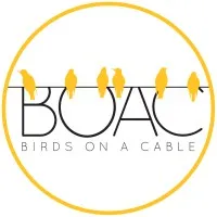 Birds on a Cable Birds on a Cable