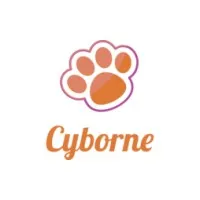 Cyborne Infosolutions