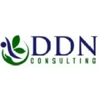 DDN Consulting Services, LLC