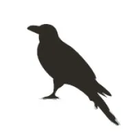 RavenWood Construction, LLC