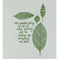 FNB International FNB International