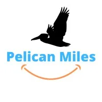 Pelican Miles - Stellar Quality Tasks At Agility - Upwork Agency