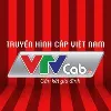VTVCab VTVCab