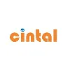 Cintal, Inc. Cintal, Inc.