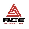 ACE Performance Gym Inc ACE Performance Gym Inc