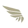 SSC Venture Partners