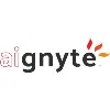 QuaEra Insights dba AIgnyte QuaEra Insights dba AIgnyte
