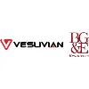 Vesuvian Vesuvian