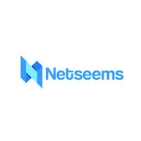 Netseems Ventures Private Limited