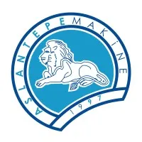 Aslantepe Makine Inc. 