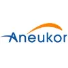 ANEUKOR LLC ANEUKOR LLC
