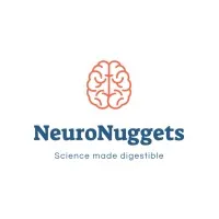 NeuroNuggets
