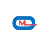 M&L Holdings Group