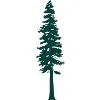Redwoods Climate Capital Redwoods Climate Capital