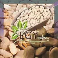 Egy Grains Import & Export Co