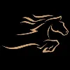 Bronco Transportation Services LLC