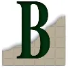 Burrell Consulting Group Inc Burrell Consulting Group Inc