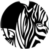 Zebrafi