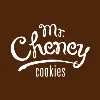 Mr. Cheney Mr. Cheney