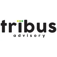 Tribus Advisory