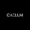 Caelum Group GmbH Caelum Group GmbH