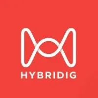Hybridig Marketing Solutions