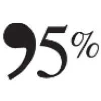 95% The Business Culture Consultancy