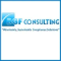 BGF Consulting, LLC