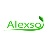 ALEXSO INC