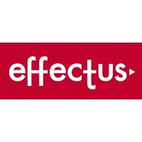 EFFECTUS CONSTRUCTION SERVICES LTD