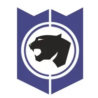 VPOWER SECURITY 威豹押運