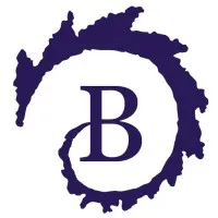 The Browne Center for Innovative Learning