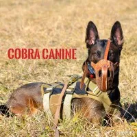 COBRA CANINE, LLC