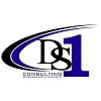 DS1 Consulting
