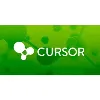 CURSOR S.A. CURSOR S.A.