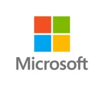 Microsoft Professional Services