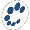 The AME Group