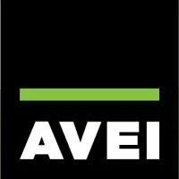 ALL VIEW ENTERPRISES INC.