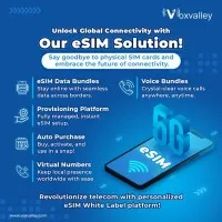 Voxvalley Technologies inc