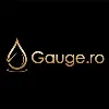 Gauge.ro Gauge.ro