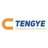 Tengye Magnetic