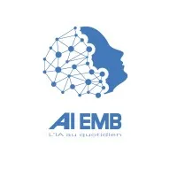 AI EMBedment Solutions