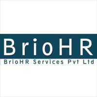 BrioHR Services